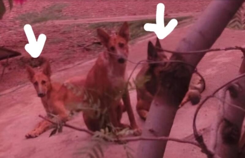 53D27B8C-131C-4F6A-831E-68D3F502537A