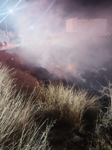 Noticias Chihuahua Pausa.MX Sofocan incendio de maleza en Misión del Bosque