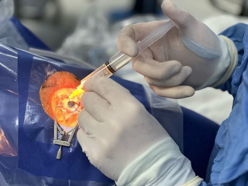 Imagen de WhatsApp 2025-02-17 a las 13.12.39_c08d4ffe