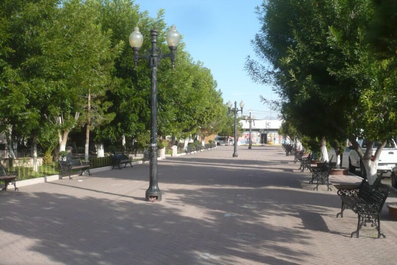 Noticias Chihuahua PAUSA.MX Invitan Camargo y PECAM a la Venta de San Valentín en la Plaza Juárez 13 y 14 de febrero