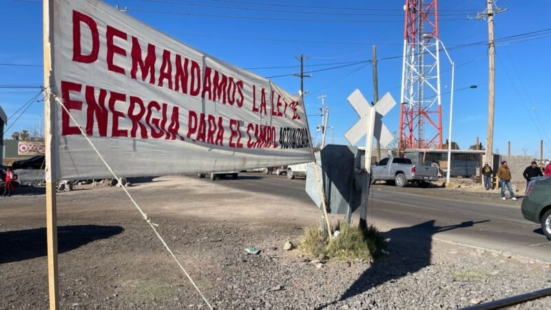 WhatsApp Image 2025-02-24 at 10.33.49