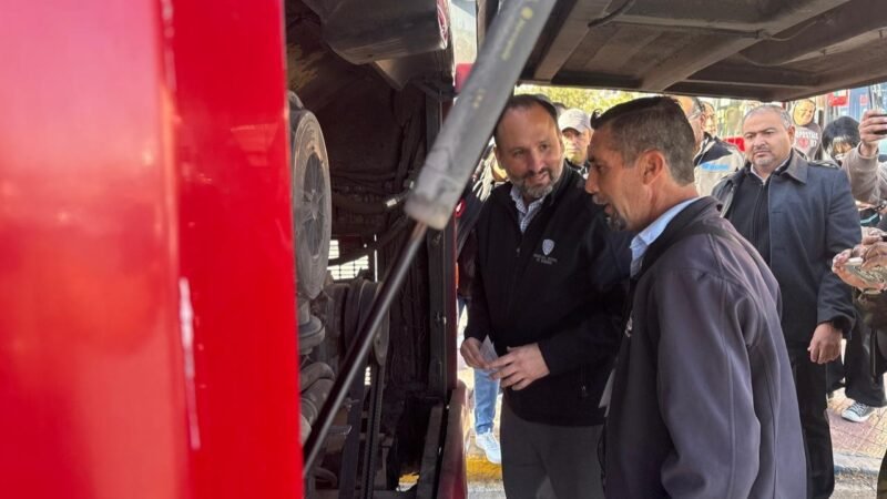 WhatsApp Image 2025-02-28 at 11.19.53