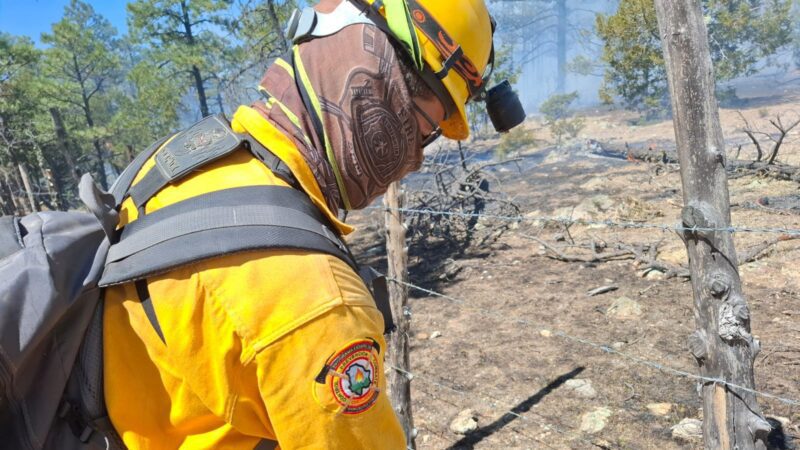 Noticias Chihuahua PAUSA.MX Trabajan 450 combatientes para controlar incendios forestales en ocho municipios 1