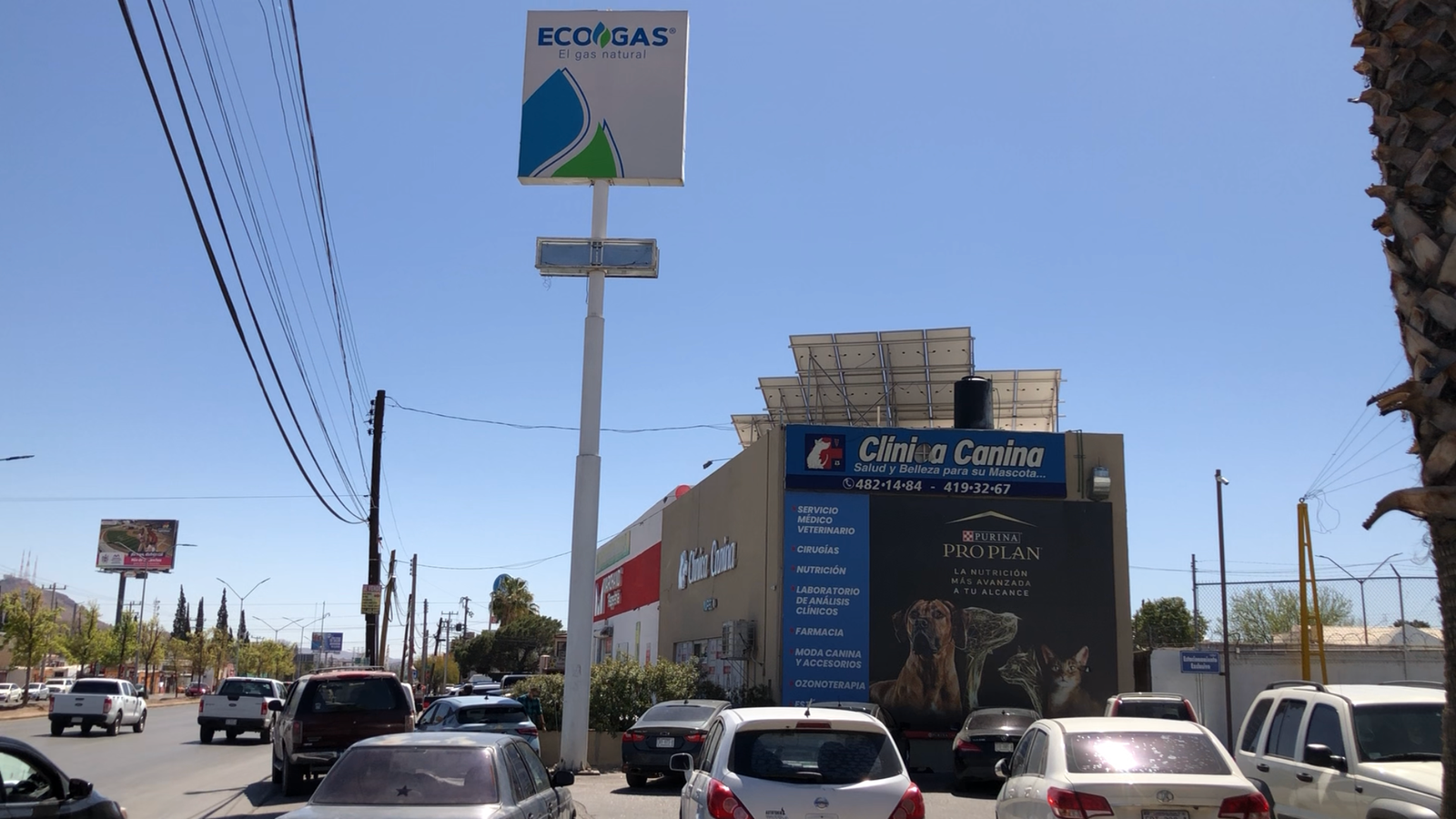 F1DE4549-8EC1-4710-9964-3BA70A9096D2