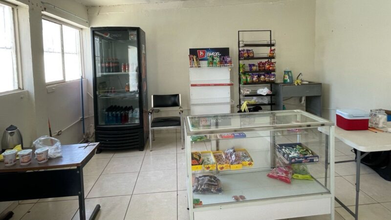 WhatsApp Image 2025-03-08 at 11.59.50