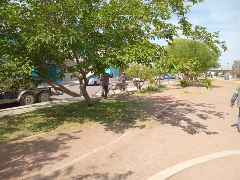 61afcf88-5aa3-4eb1-b885-52b90998a0ab