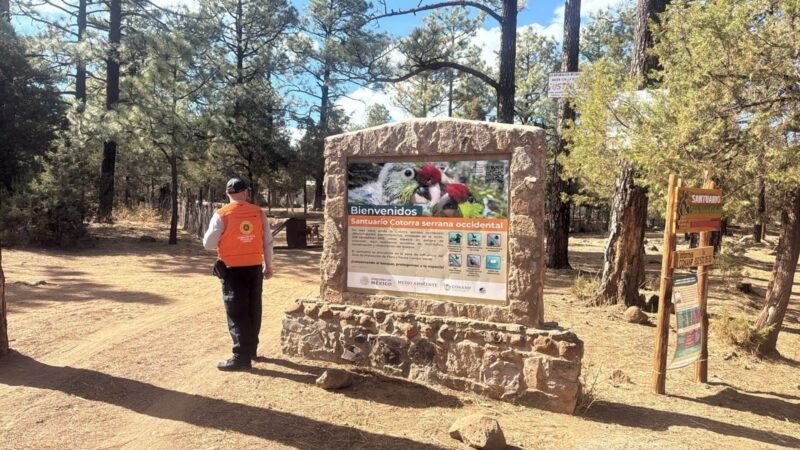 7d41ea66-1037-4e31-b3aa-796d3aab4e02