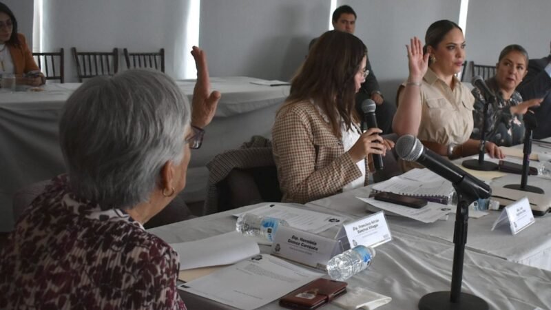 Trabaja Congreso en iniciativas sobre diabetes infantil, derechos de mujeres en el parto y atención a adultos mayores