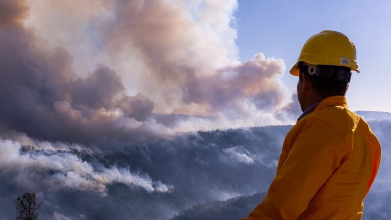 WhatsApp Image 2025-04-11 at 11.33.59