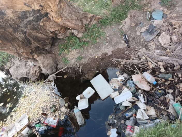 689A72AA-B13C-4EE0-B952-B3F7FD9F7676