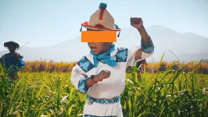 Proponen prohibir uso de imágenes de infantes en propaganda política