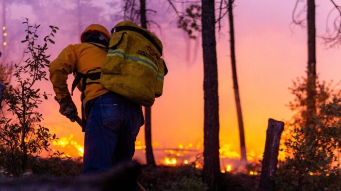 WhatsApp Image 2025-05-22 at 12.59.16