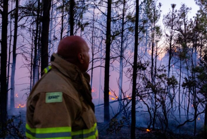 Imagen de WhatsApp 2025-06-01 a las 13.28.43_e2461077