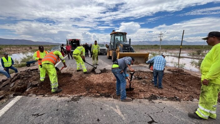 WhatsApp Image 2025-06-27 at 13.31.51