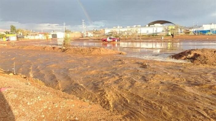 principal_1000182779