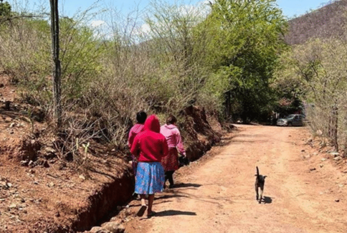 Admite Fiscalía reclutamiento criminal en la Sierra Tarahumara pero desconoce si son menores de edad