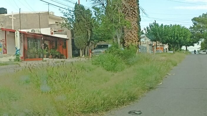 b4894303-cdc1-4c43-b1d0-18d117dd84e8