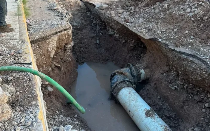 WhatsApp Image 2023-08-08 at 7.03.56 AM.jpeg