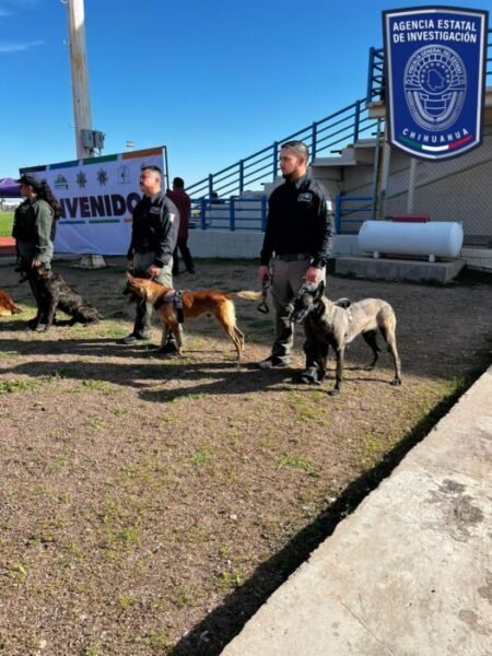 WhatsApp Image 2025-08-09 at 6.28.55 PM