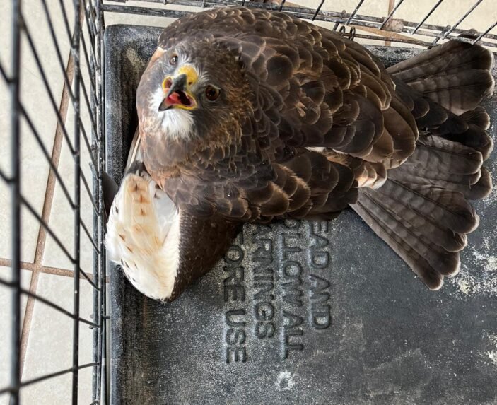 68cb162a0c54f__68cb162a0c551