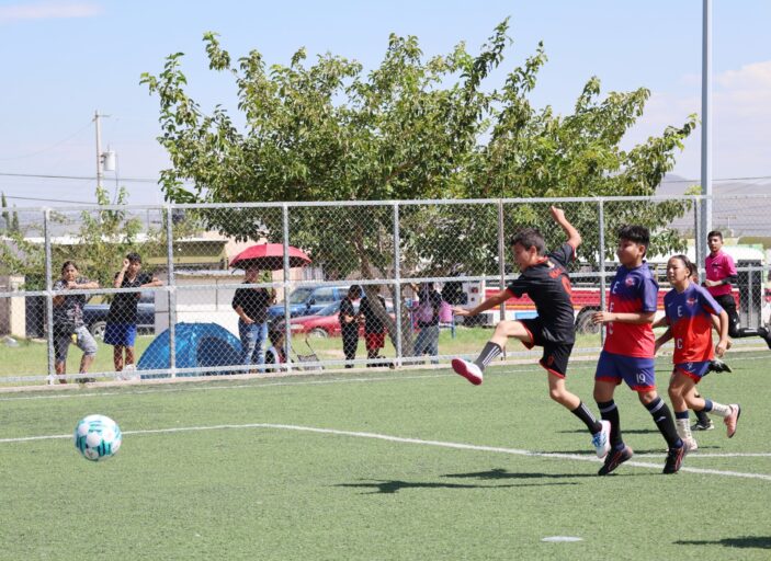 8b9df4d5-ace1-4cca-9748-eb7bbf2f7240