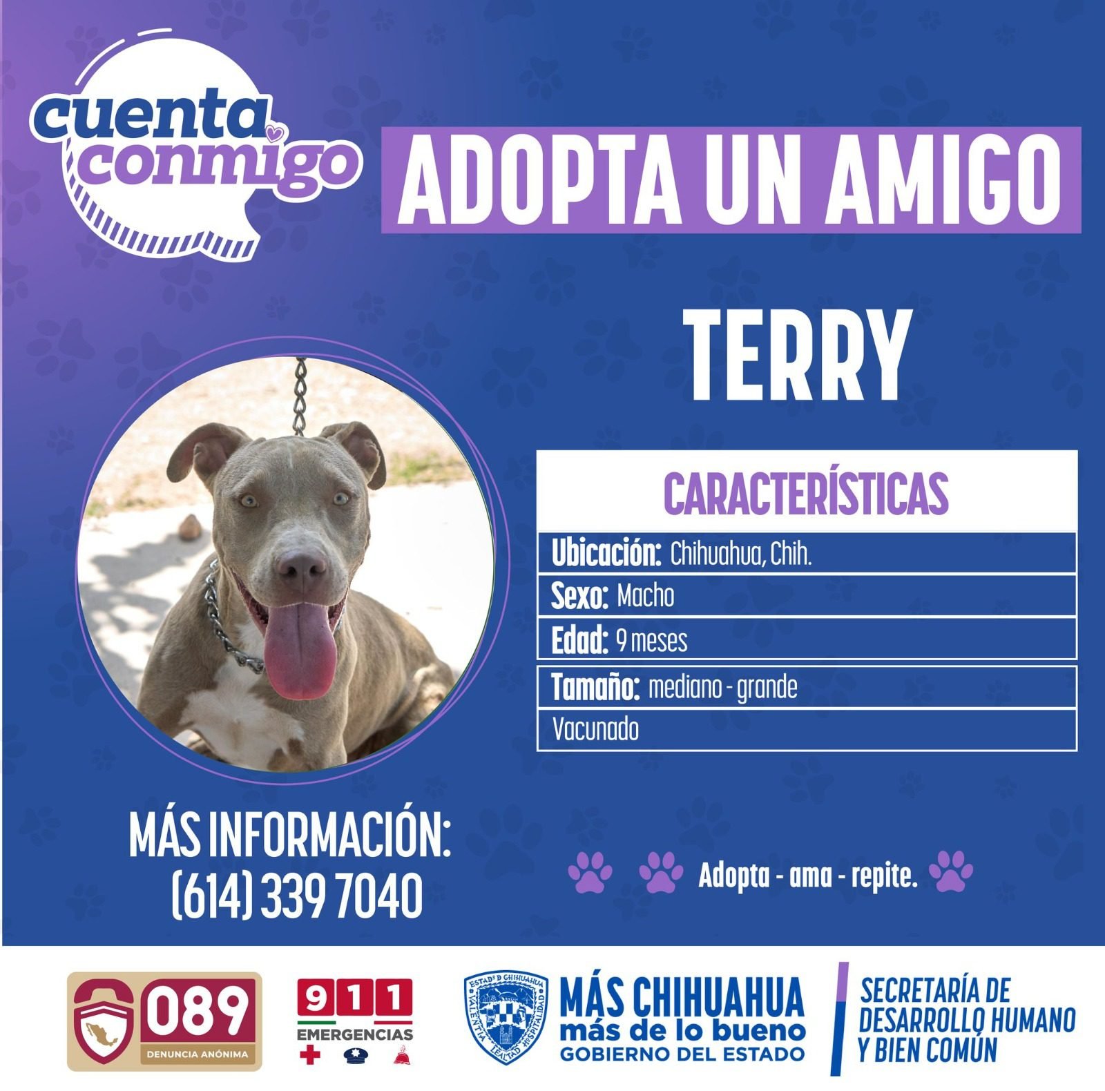 WhatsApp Image 2025-09-25 at 11.26.34 AM