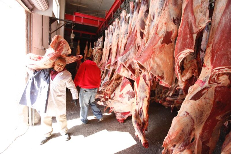 68e025aa6d618__68e025aa6d619