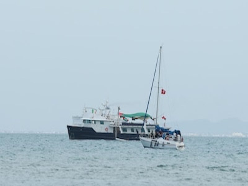 HZOZ6D6RQVC5RIUOVL7GGZKXSM PAUSA.MX