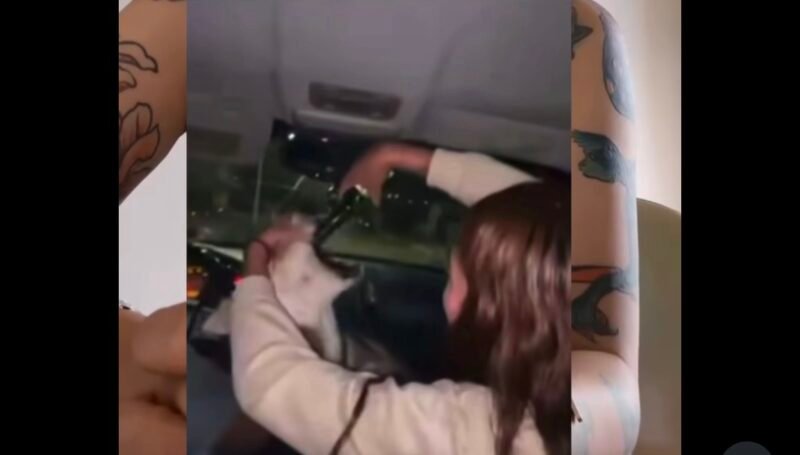 Noticias Chihuahua PAUSA.MX Exigen encontrar a jóvenes responsables de alcoholizar a husky en Madera