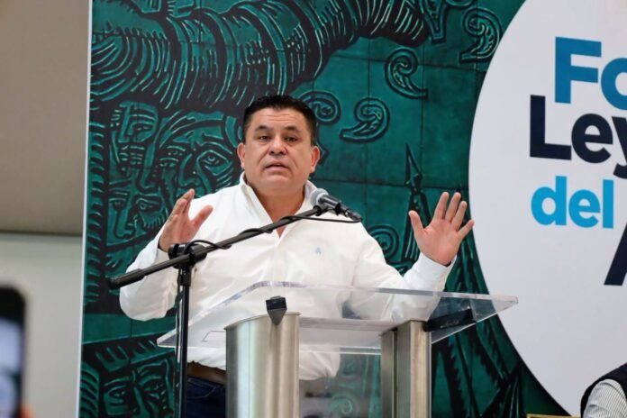 WhatsApp Image 2025-11-13 at 3.40.29 PM