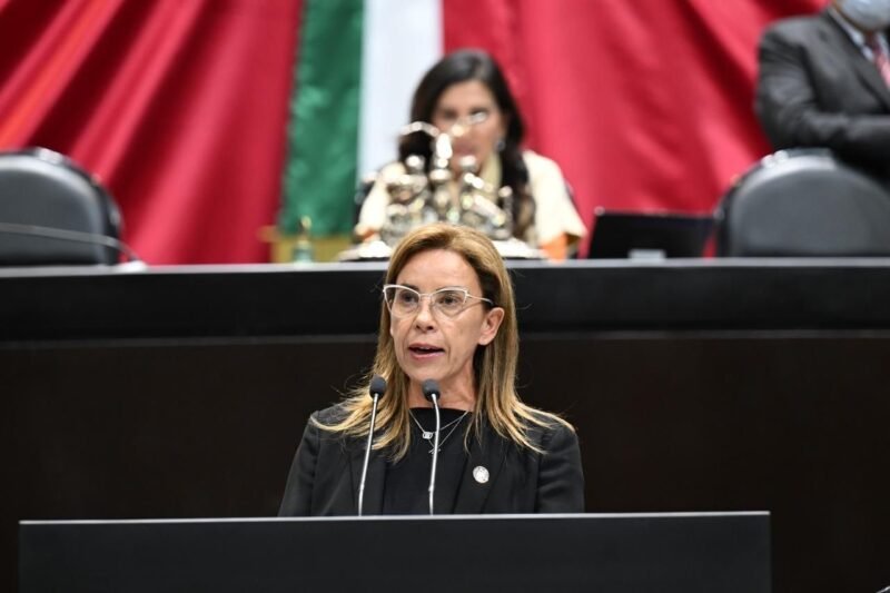 Noticias Chihuahua PAUSA.MX Advierte Manque Granados riesgos de encarecimiento y desabasto de productos por reforma arancelaria de Morena