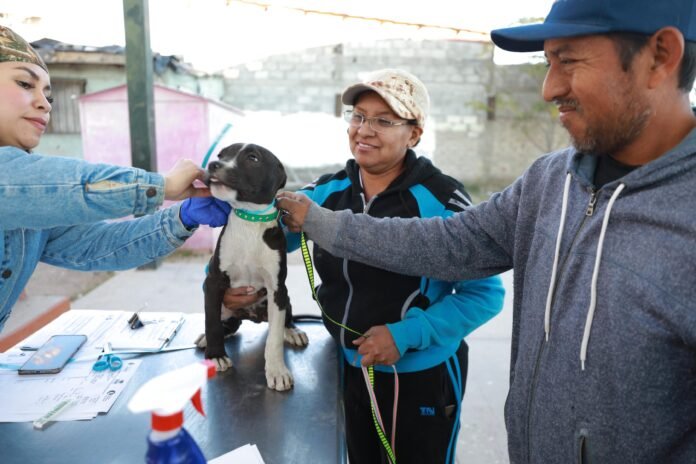 6935c7b092ec2__6935c7b092ec3