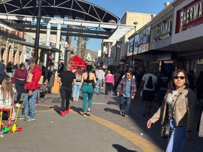 WhatsApp Image 2025-12-12 at 11.33.01 PM