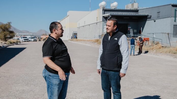 WhatsApp Image 2025-12-15 at 2.26.19 PM