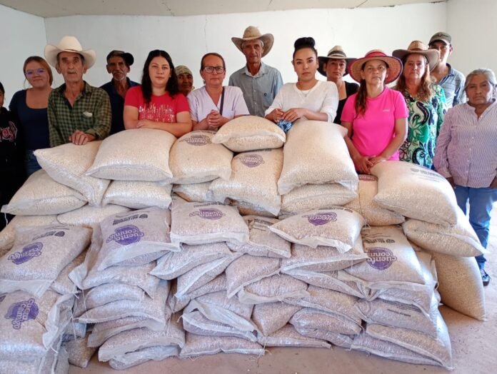 WhatsApp Image 2026-01-02 at 3.01.14 PM