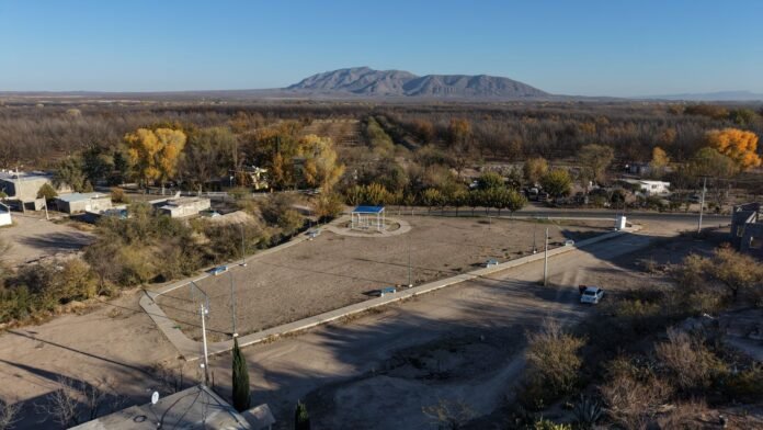 WhatsApp Image 2026-01-08 at 13.41.50