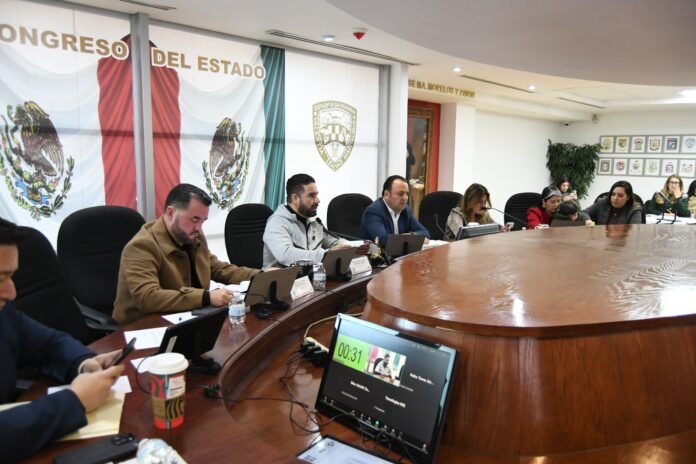 WhatsApp Image 2026-01-09 at 11.22.08