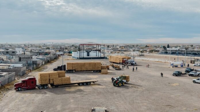 WhatsApp Image 2026-01-13 at 12.34.46