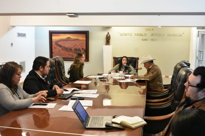 WhatsApp Image 2026-01-21 at 14.32.23