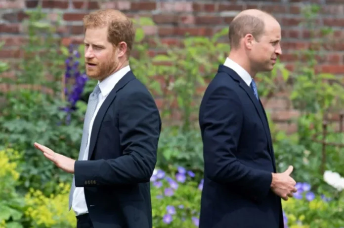 el-principe-harry-y-el-principe-william