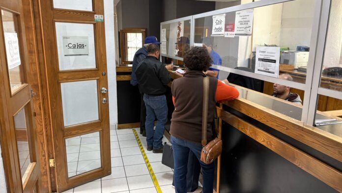 tesoreria predial camargo