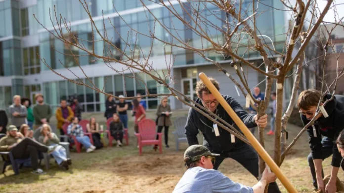 tree-of-forty-fruit.BEd7AYHn_Z1XxzXS