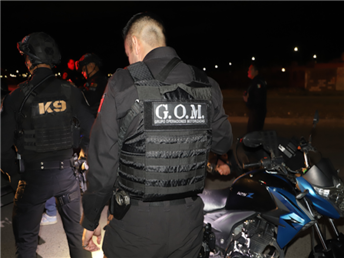 29516-1.jpg PAUSA.MX