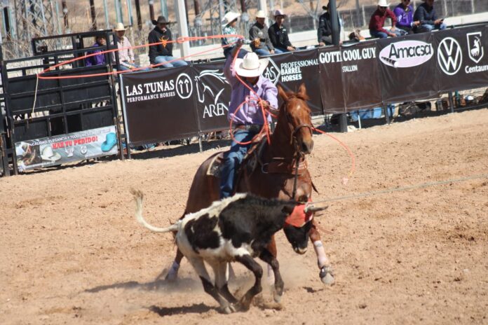 699e29f1ee75d__699e29f1ee75e