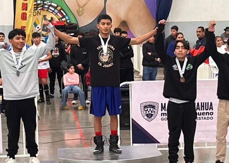 Noticias Chihuahua PAUSA.MX Conforman 12 boxeadores juarenses la Selección Chihuahua Screenshot