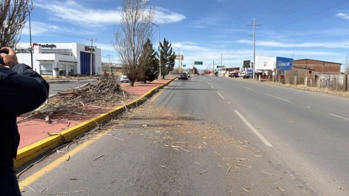 WhatsApp Image 2026-02-17 at 3.19.37 PM