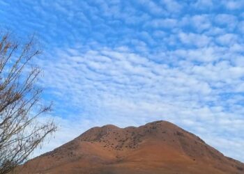Noticias Chihuahua Pausa.MX Deberán reforestar mil 500 árboles en Cerro Grande