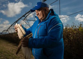 Noticias Chihuahua Pausa.MX Invita Sader al crédito "Cosechando Soberanía"
