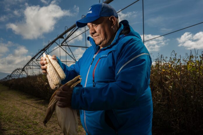 WhatsApp Image 2026-02-24 at 1.45.20 PM