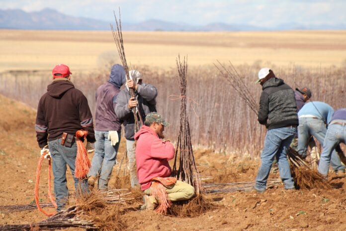 WhatsApp Image 2026-03-02 at 1.01.41 PM